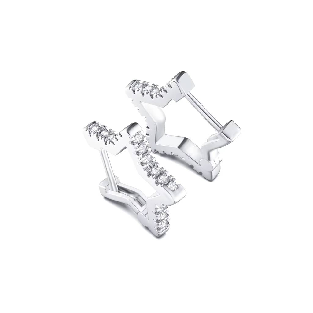 0.36 Ct Star Moissanite Hoop Earrings D/Vvs1 : StarHoop_0.36