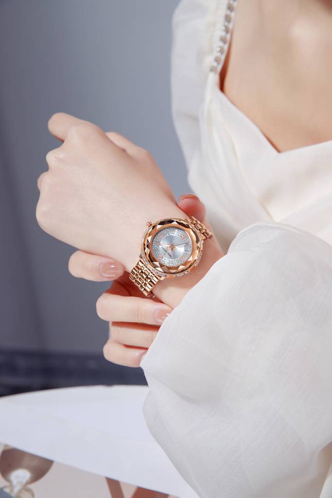 Daniel Hechter Paris Palais-Royal Collection Unique Analoge Watch For Women Withdiamond Cut Glass Dial And Stainl : DHW2003-22