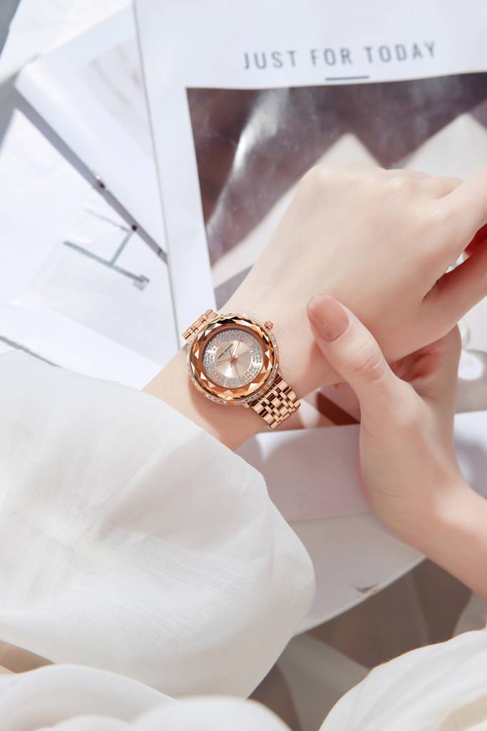 Daniel Hechter Paris Palais-Royal Collection Unique Analoge Watch For Women Withdiamond Cut Glass Dial And Stainl : DHW2003-11