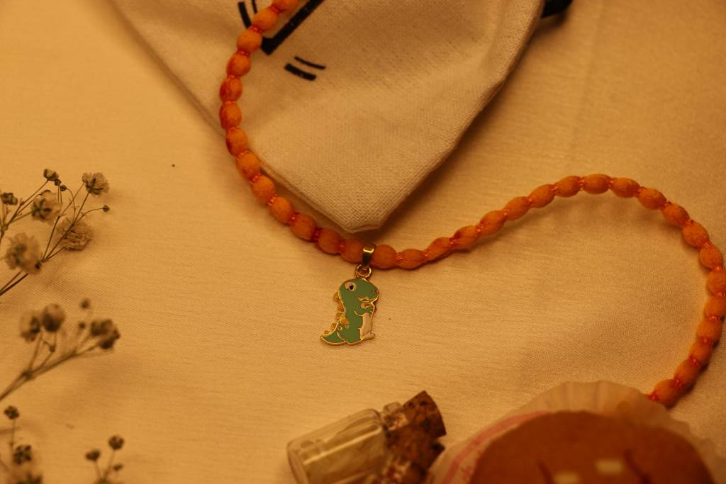 Dino Rakhi : tjcrakhi18