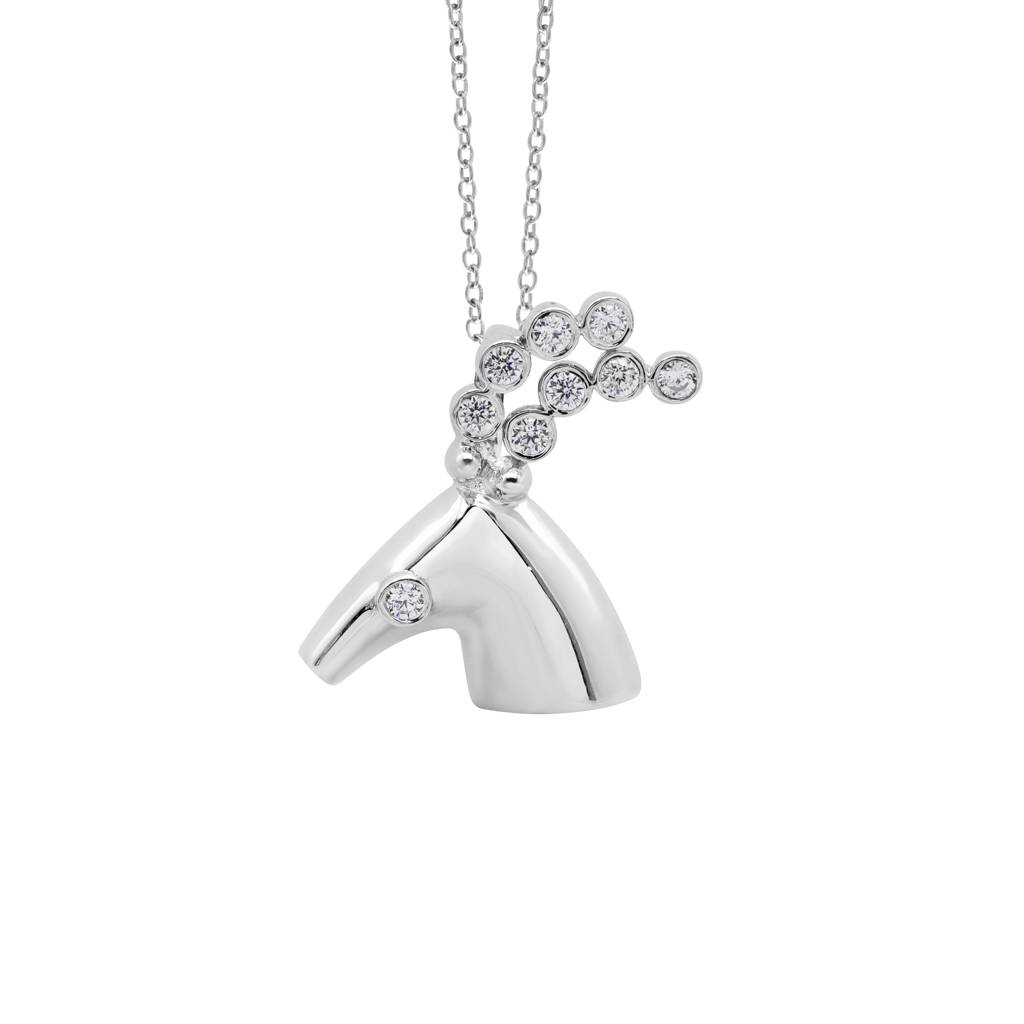 Zodiac Sign Capricorn Pendant : P3049