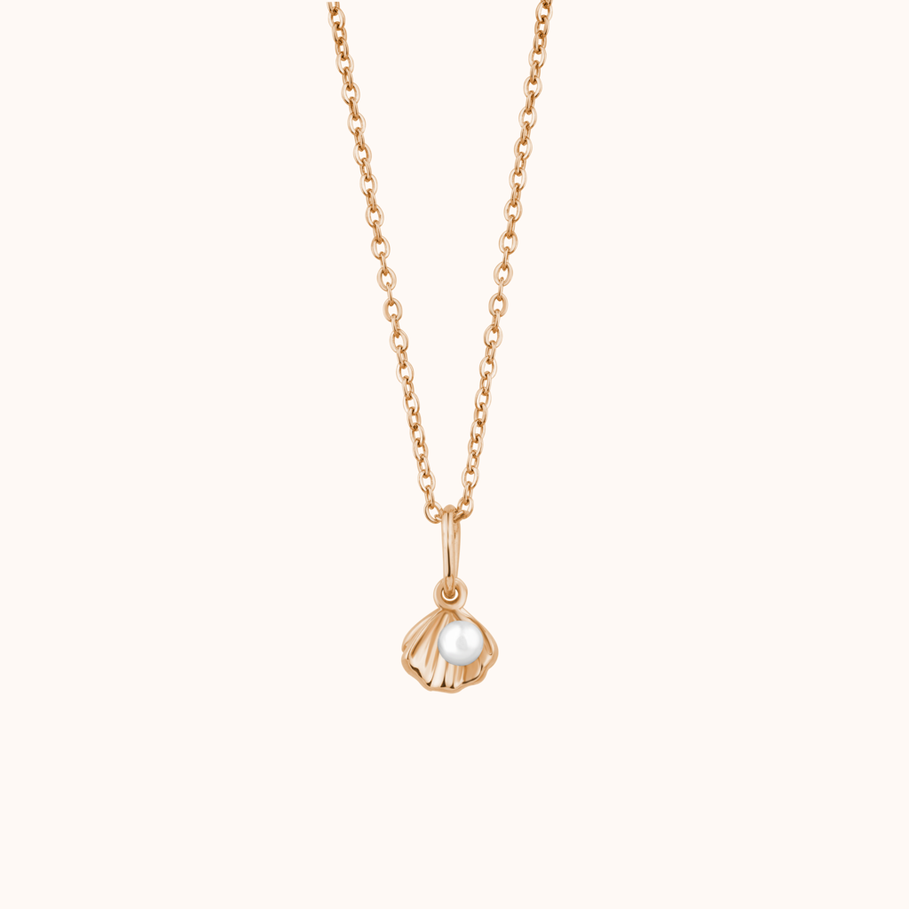 Fancy Filled Shell Necklace : KNC0058