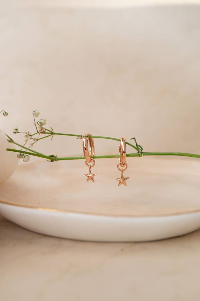 Twinkling Star Charm Rose Gold Plated Sterling Silver Hoop Earrings : MPREH910D2281