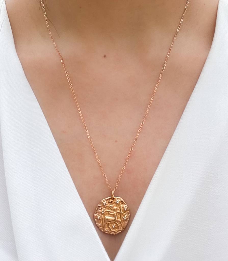 French Zodiac Coin Necklace (Sagittarius) : N-ZOF-6-0