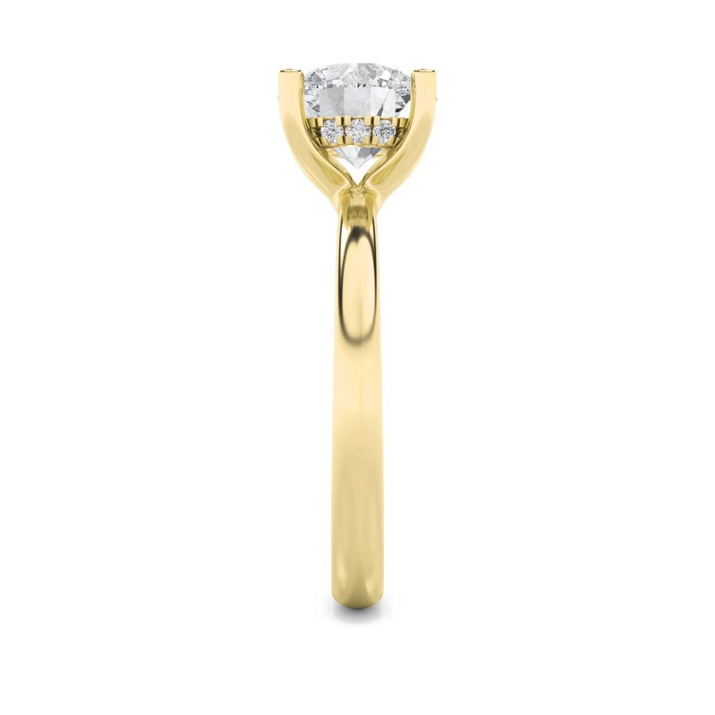 Mirage Round Diamond With Hidden Halo Lab-Grown Diamond Ring : ND-RNG-14Y-1111-6
