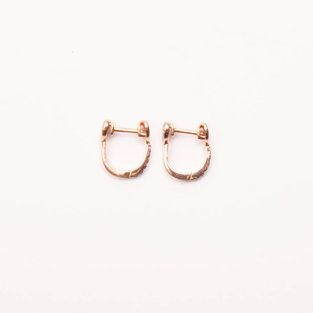 Sneha - Reversible Heart Earrings : NNS14LBL0033