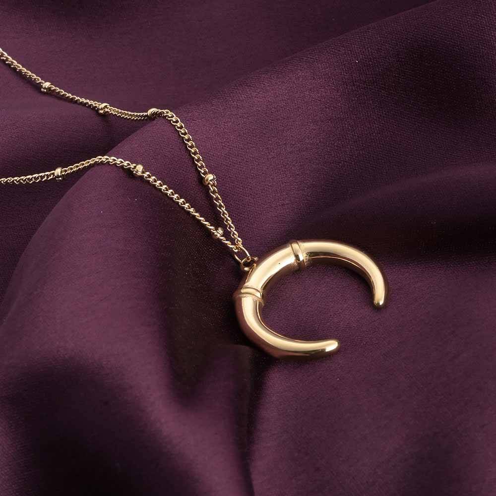 Delicate Horn Necklace : PM-NECKLACE-069