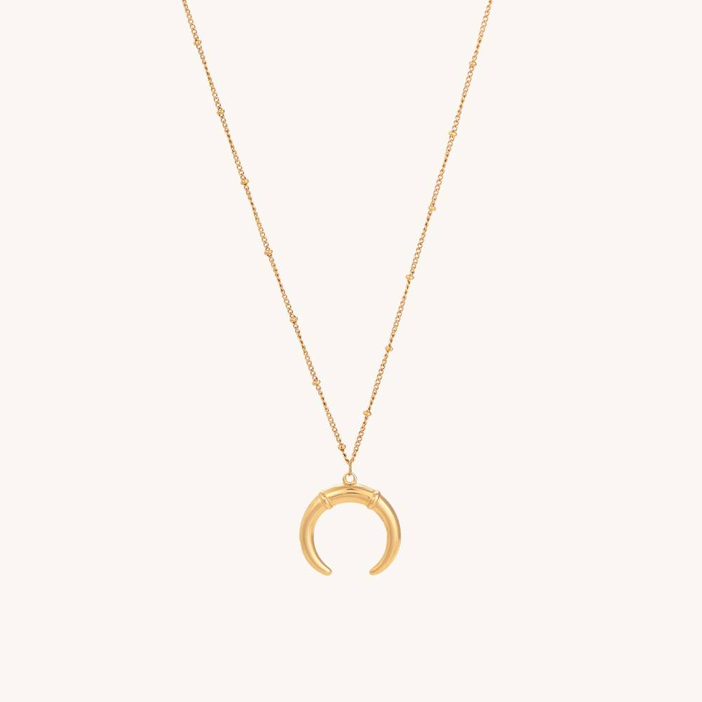 Delicate Horn Necklace : PM-NECKLACE-069