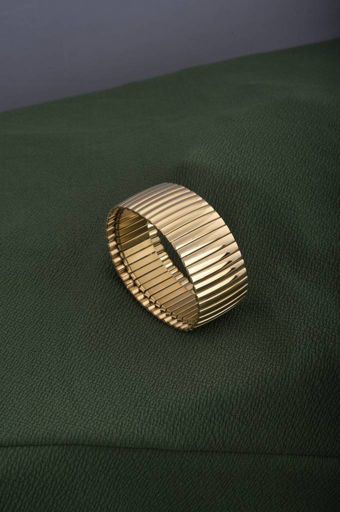 Sleek Golden Mesh Bracelet : PMW01BR024