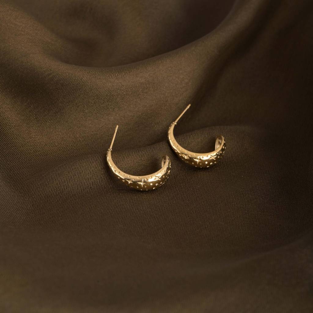Gilded Curve Earrings : PMW01ER034