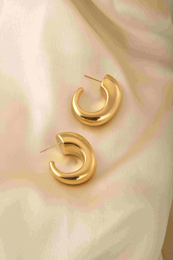 Curved Modernity Earrings : PMW01ER066