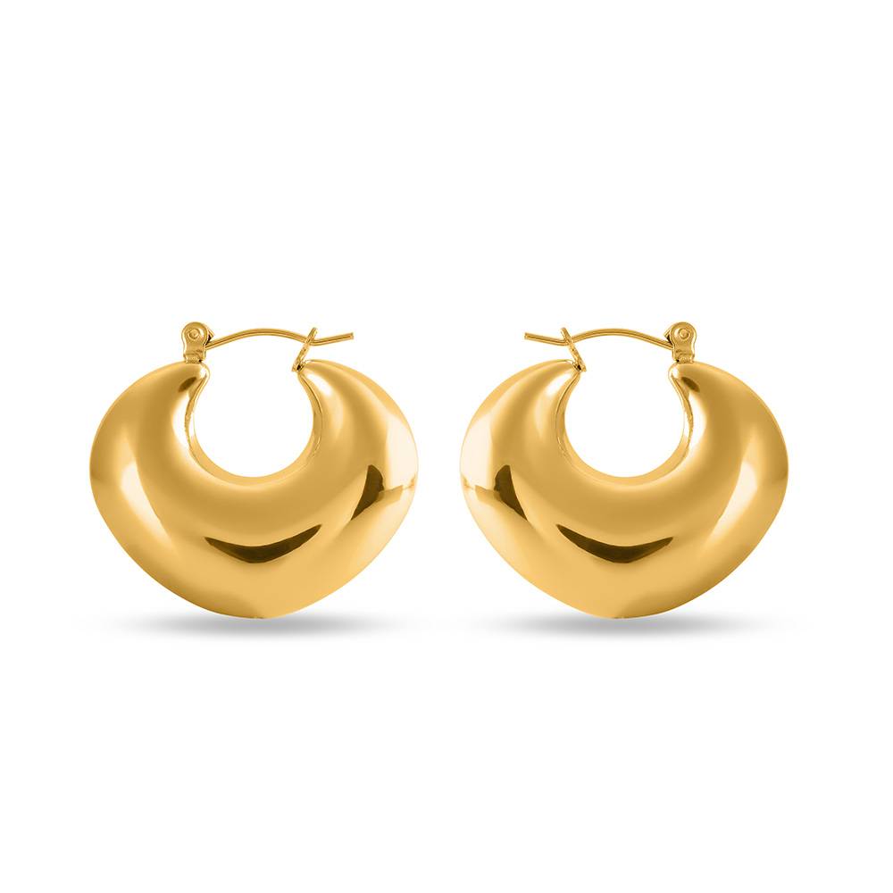 Golden Adore Earrings : PMW01ER068