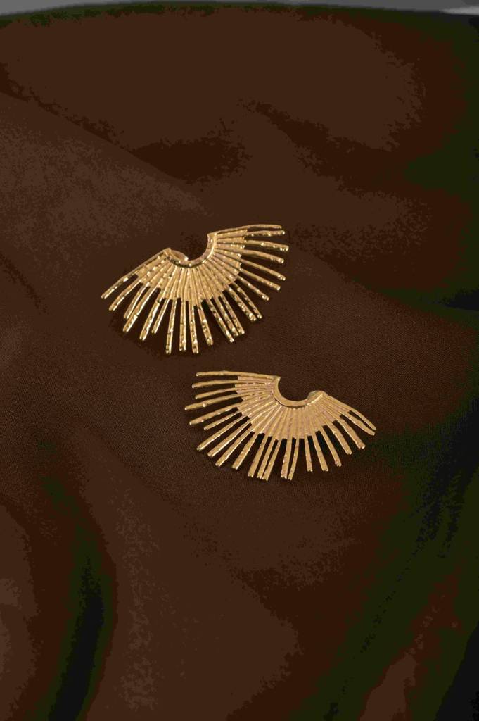 Golden Crown Earrings : PMW01ER095