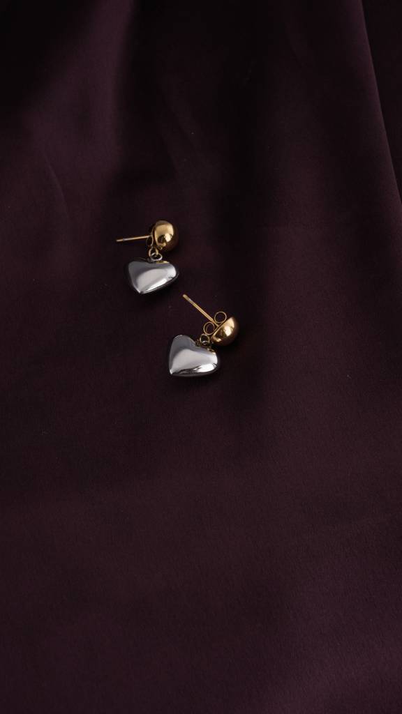 Elegant Heart Drop Earrings : PMW04ER011