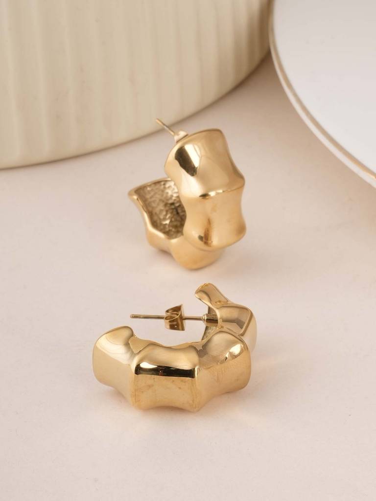 Palmonas Half Circular Hoop Earrins For Womens - Waterproof & Anti-Tarnish : PMWSSER387-G