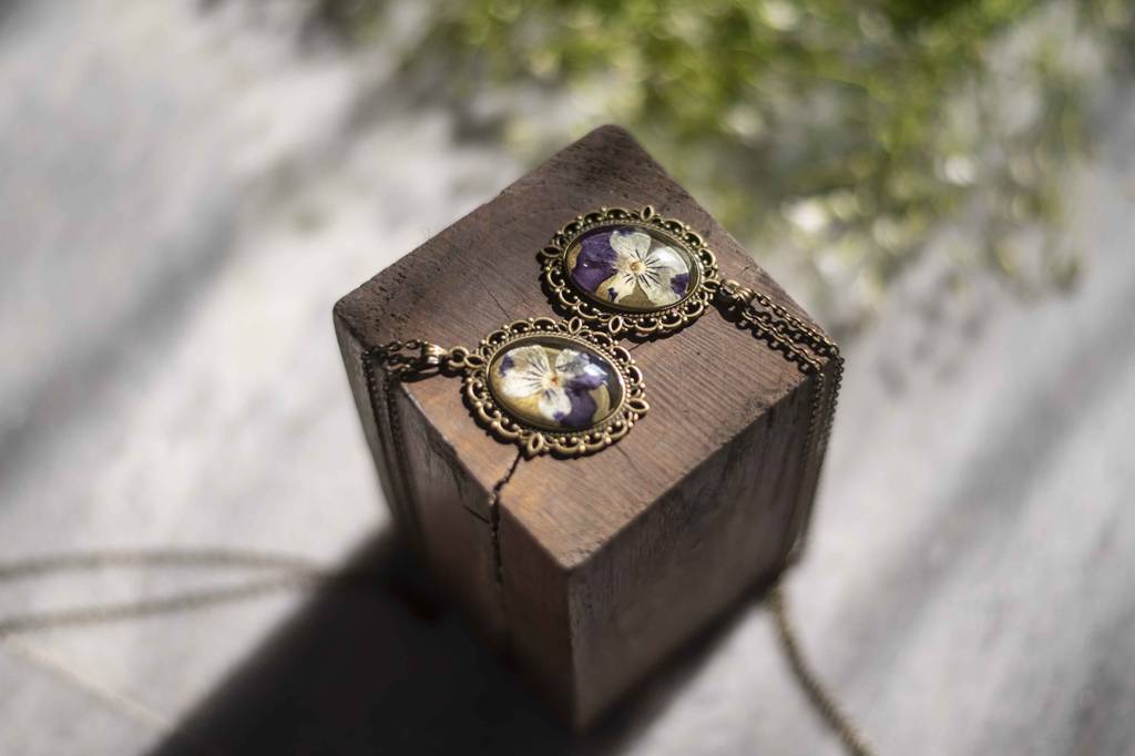 Pansy Love : LA-FF-PL-NE-BR-1