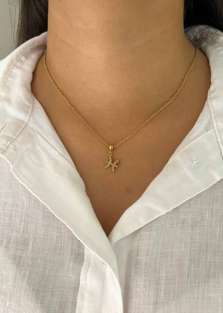 18K Gold Plated Zodiac Sign Necklace : N86B