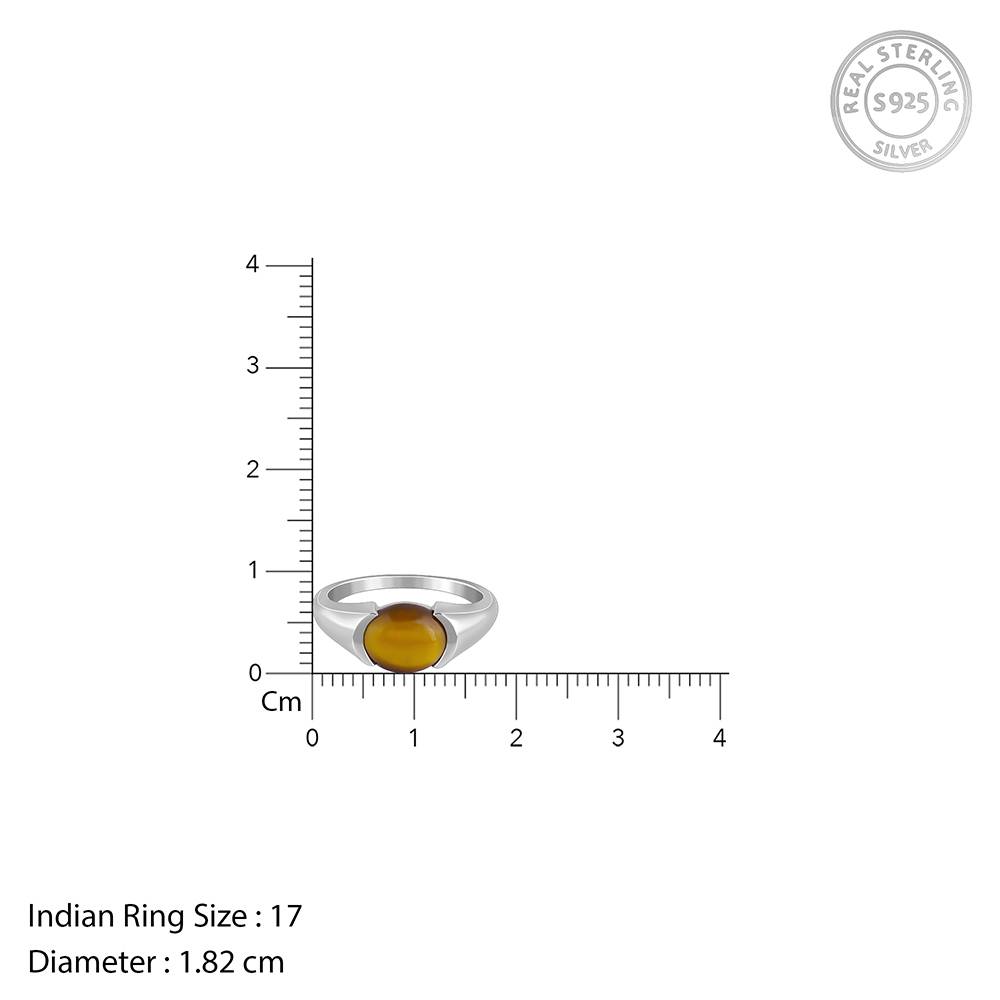 Giva 925 Silver Tiger Eye Men Ring For Him,Fixed Size : R02494_17