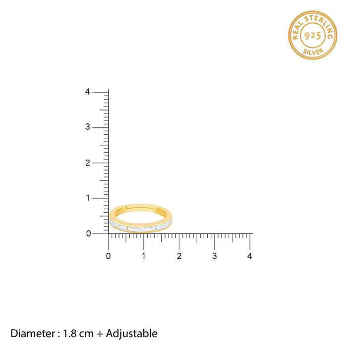 The Circle of Life Ring | Adjustable Sterling Silver Zircon Band