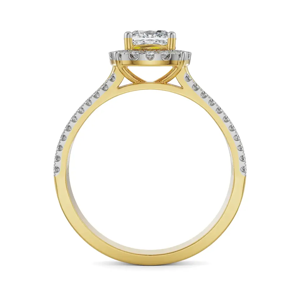Aneeva Engagement Ring : R1324