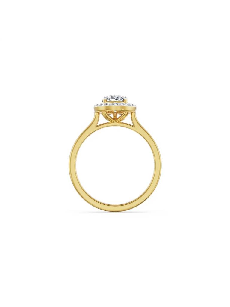 Ivana Halo Engagement Ring : R1517