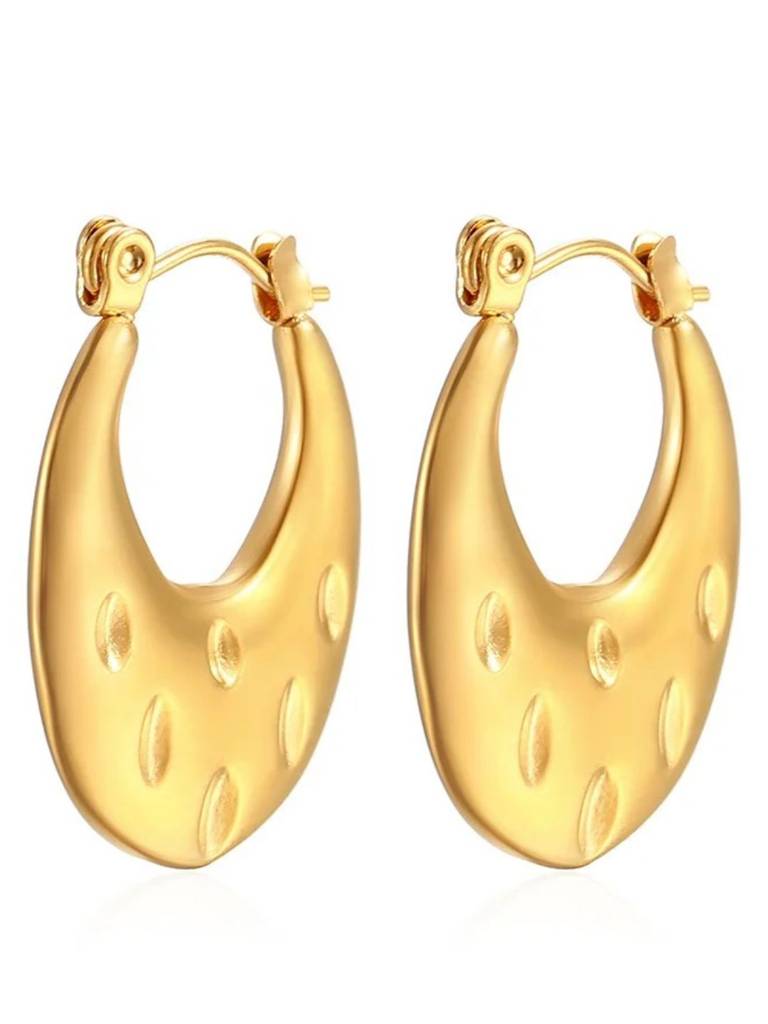 Chubby Hoop Earrings : RB-60