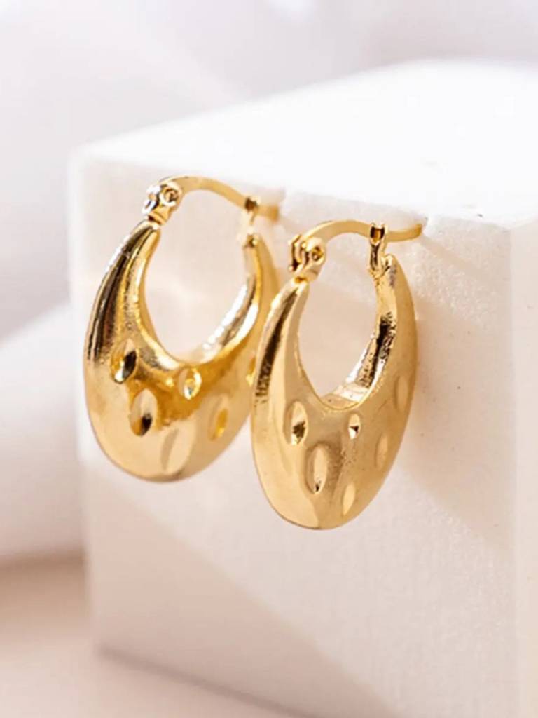 Chubby Hoop Earrings : RB-60