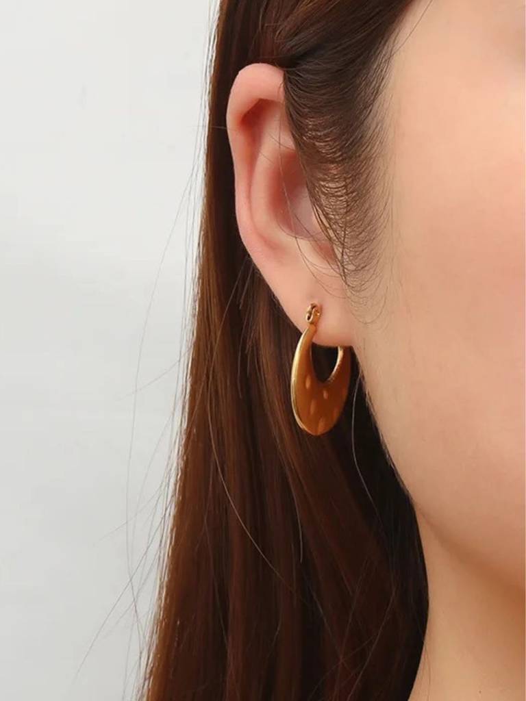 Chubby Hoop Earrings : RB-60