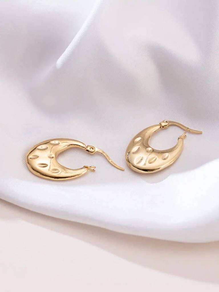 Chubby Hoop Earrings : RB-60