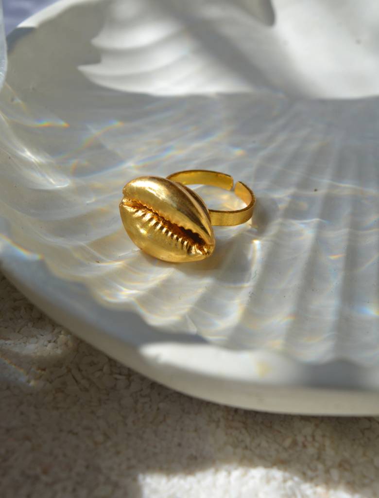 Moneta Shell Ring : MonetaShellRing