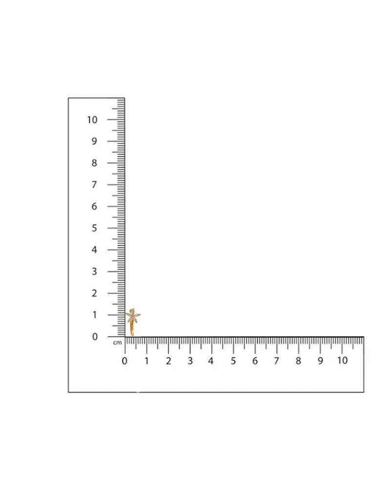 Star Nose Pin : RRAUG25-55