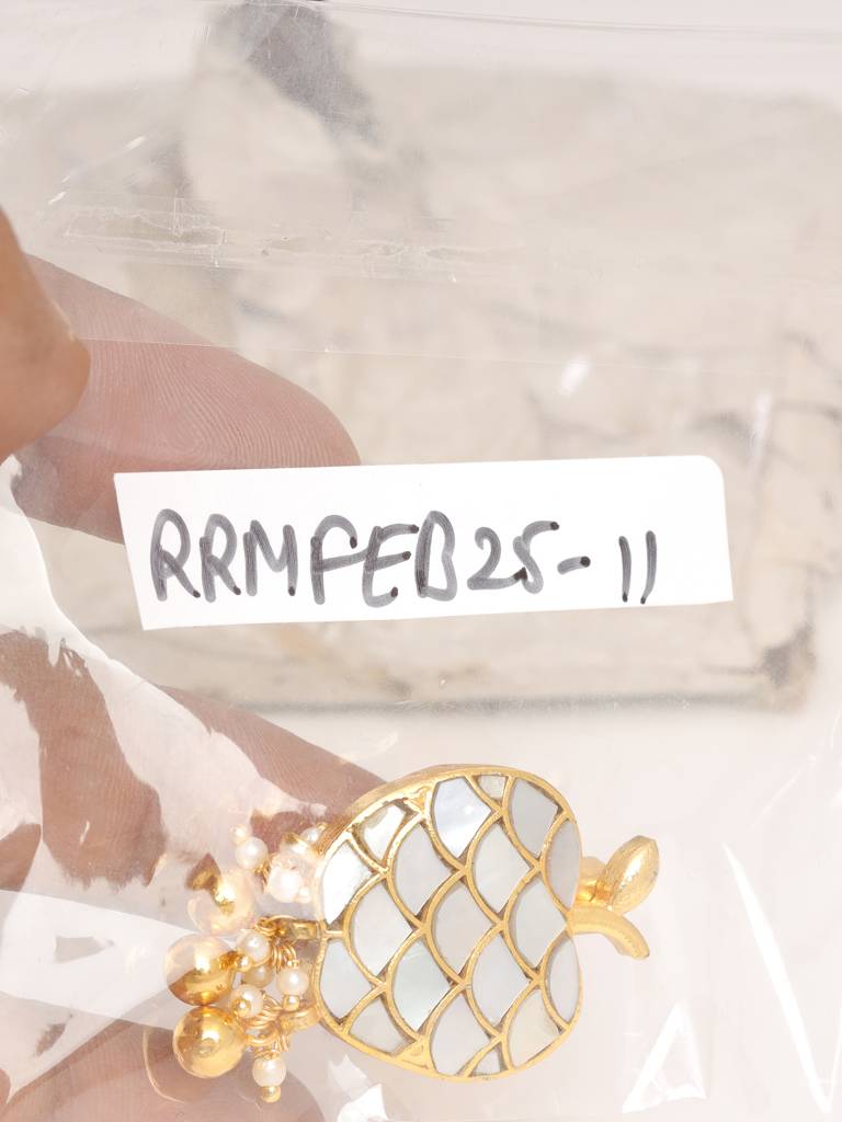 Apple Mother Of Pearl Brooch : RRFEB25-11
