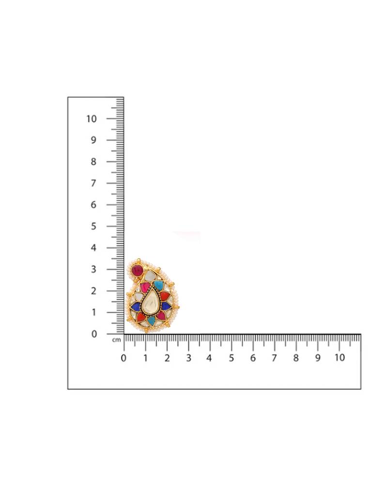 Half Ambi Multi Color Brooch : RRFEB25-13
