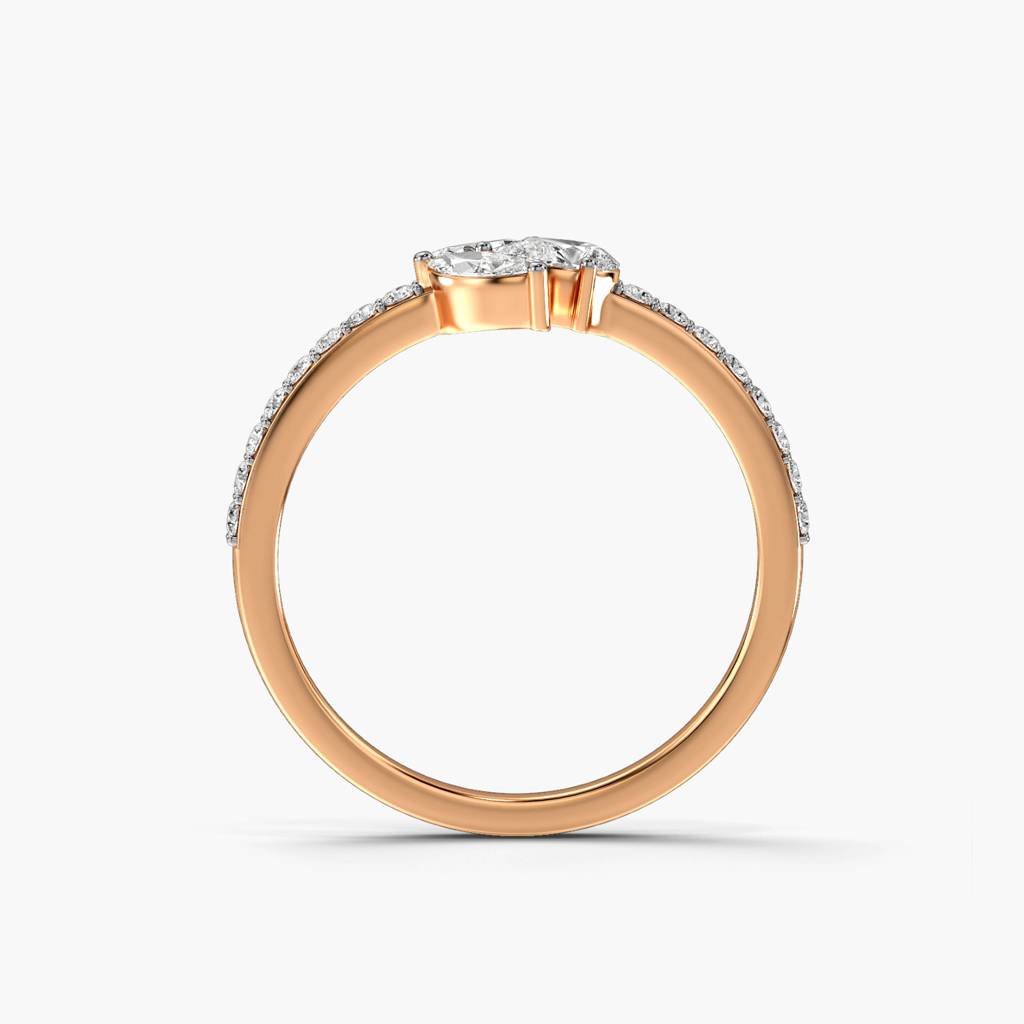 Opulent Luxe : AILR-704