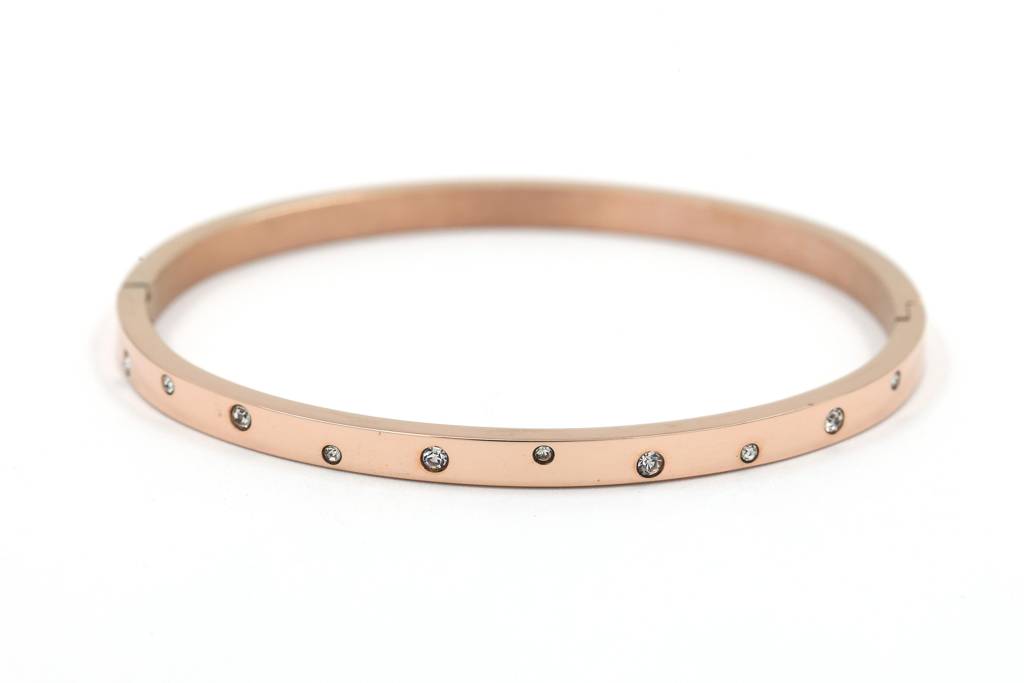 Rose Gold Plated Stainless Steel Sparkle Dust Bracelet (Rose Gold) : (S)B-C-2-RG