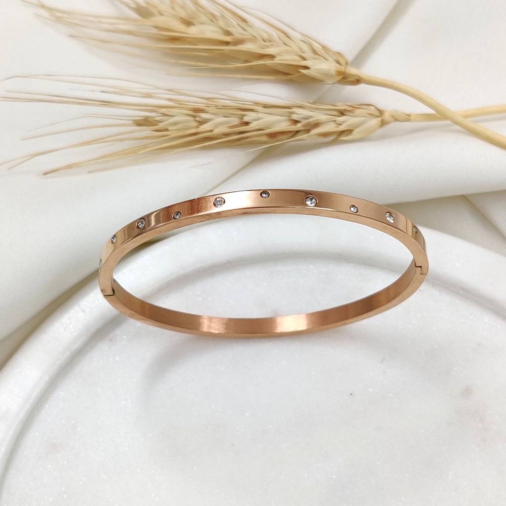 Rose Gold Plated Stainless Steel Sparkle Dust Bracelet (Rose Gold) : (S)B-C-2-RG