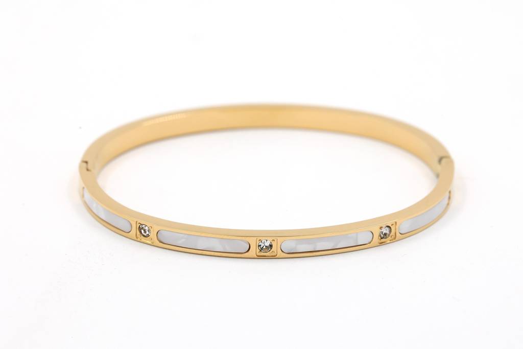 Gold Plated Stainless Steel Alicia Bracelet : (S)B-C-4-0