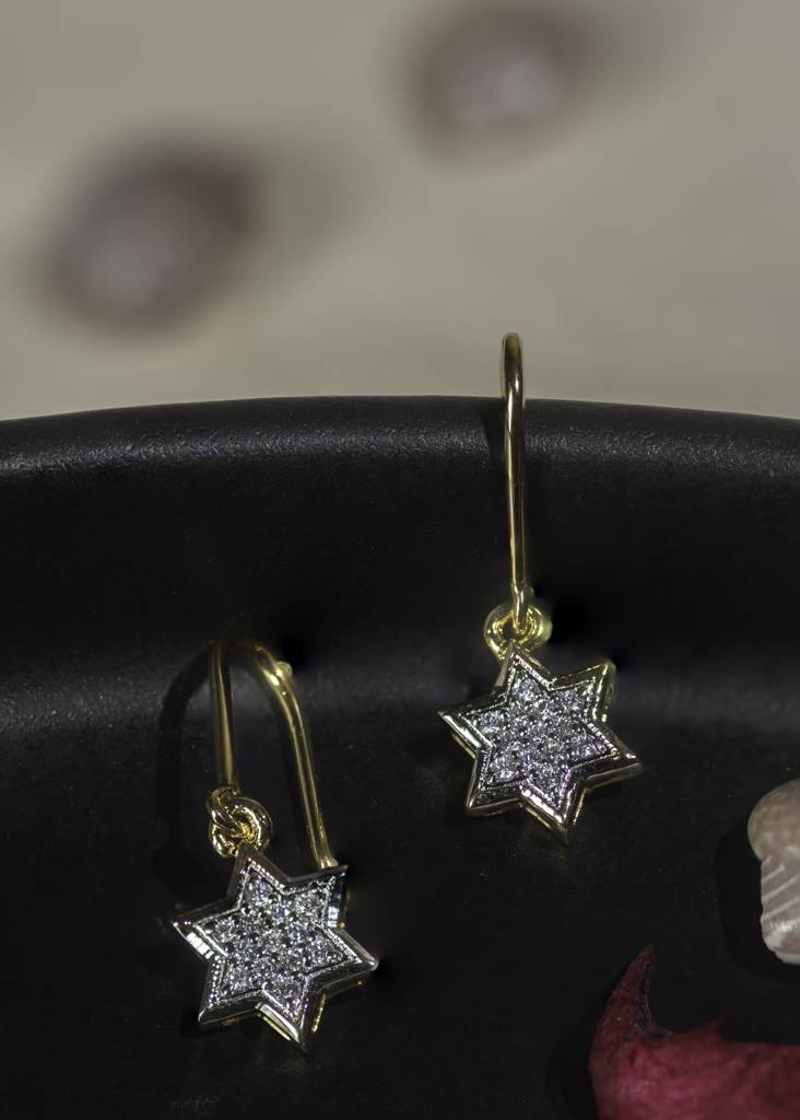 Star Shaped Dangler 92.5 Sterling Silver Earrings : SE089