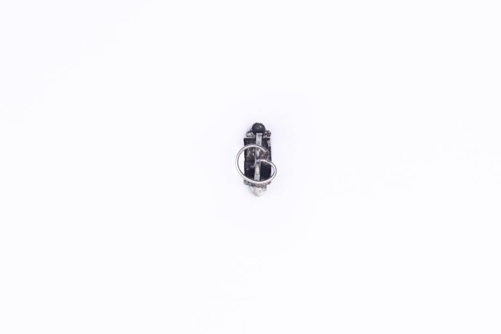 Firoza Sanyukta Nosepin : SILVERNP1152