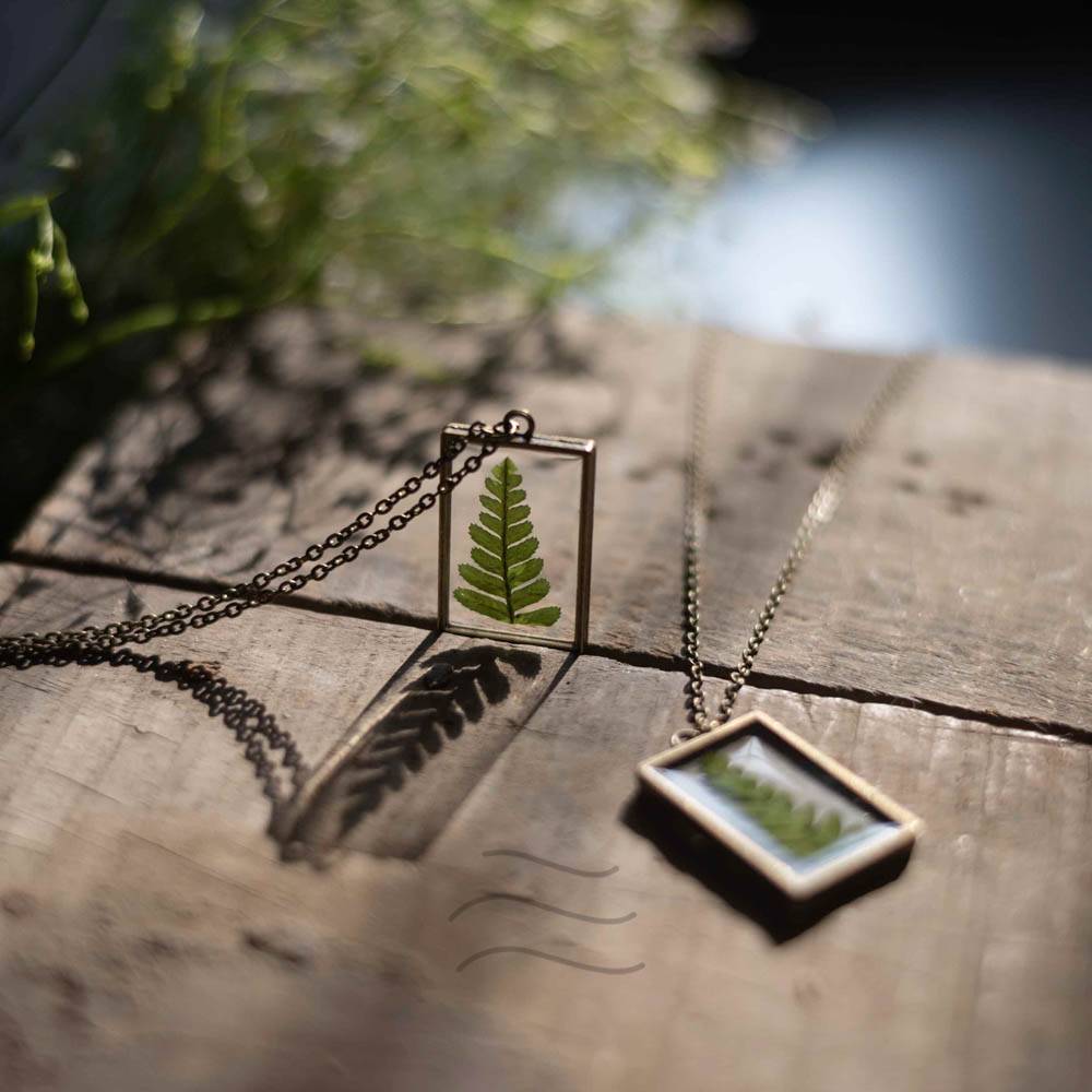 Secrets Of A Forest (Feather Fern) : LA-FF-FF-NE-BR-1