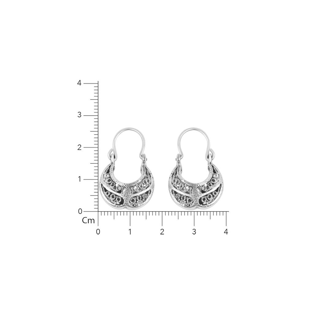 925 Pure Silver Drop And Dangle Earrings-Twp1094 : TWP1094