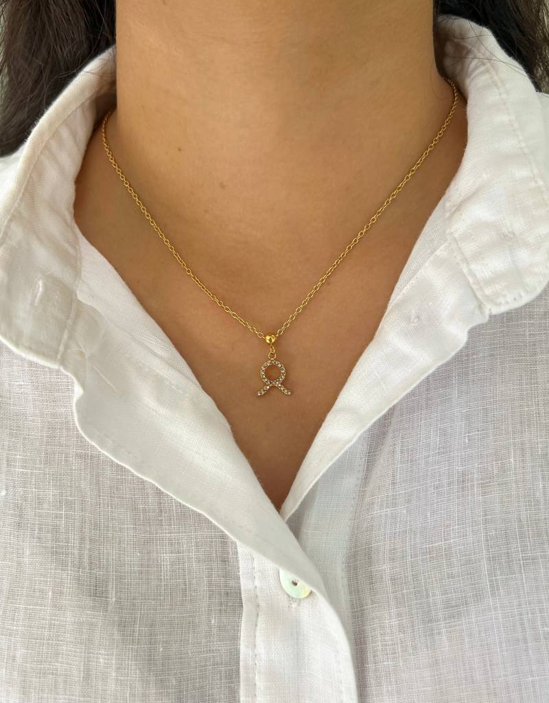 18K Gold Plated Zodiac Sign Necklace : N86D