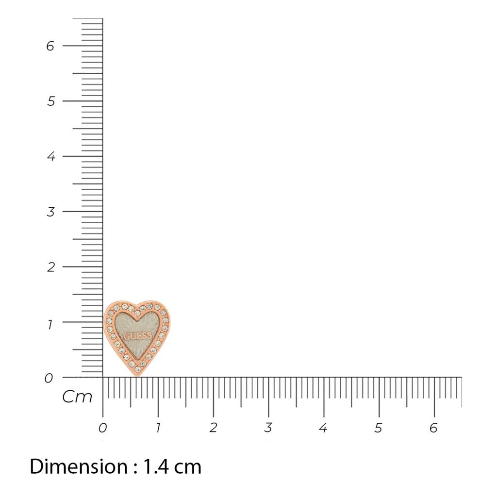 Guess Love Me Tender Rose Gold-Plated Stainless Steel Earrings For Women : UBE03237RHRG