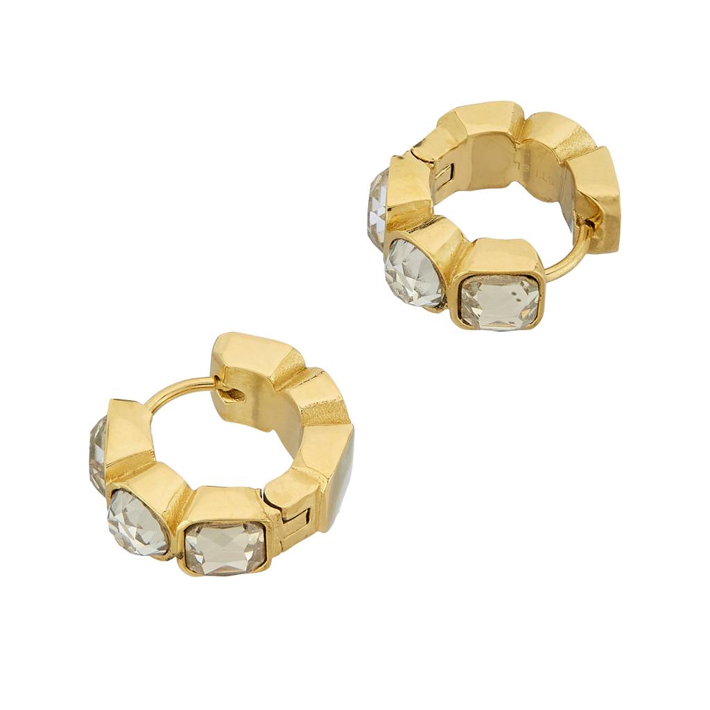 Guess Crazy Earrings Gold-Plated Stainless Steel Earrings For Women : UBE03305YG