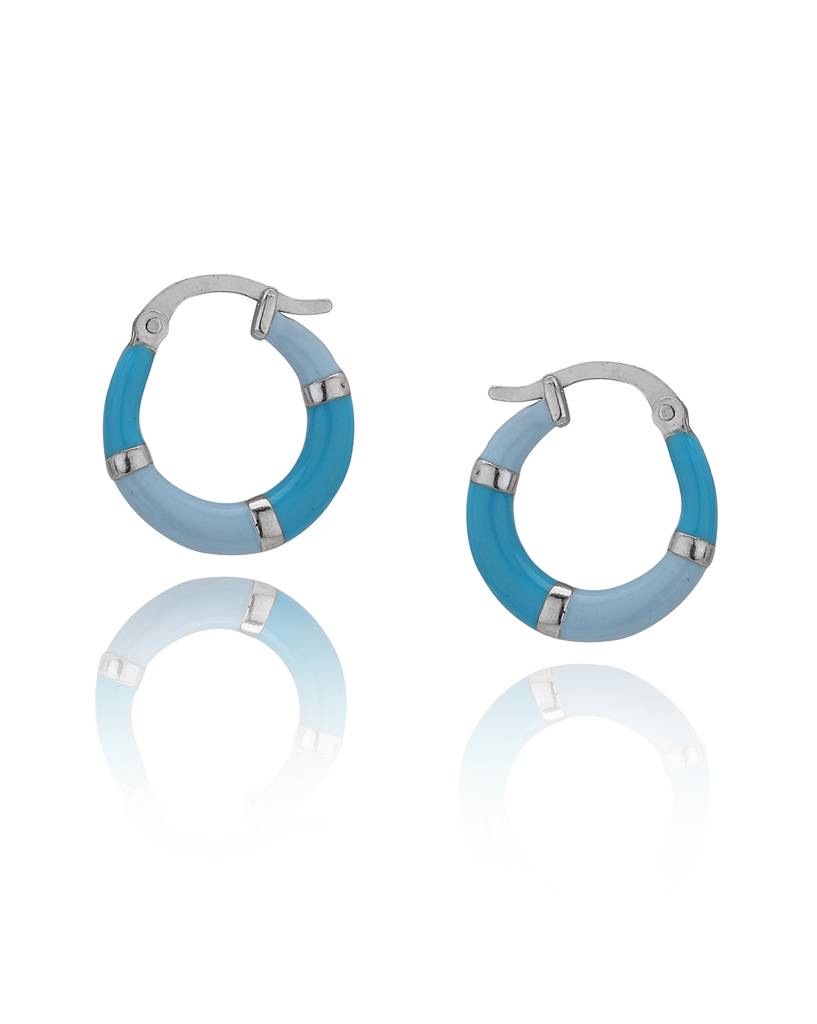 925 Sterling Silver Earrings-Vane733 : VANE733