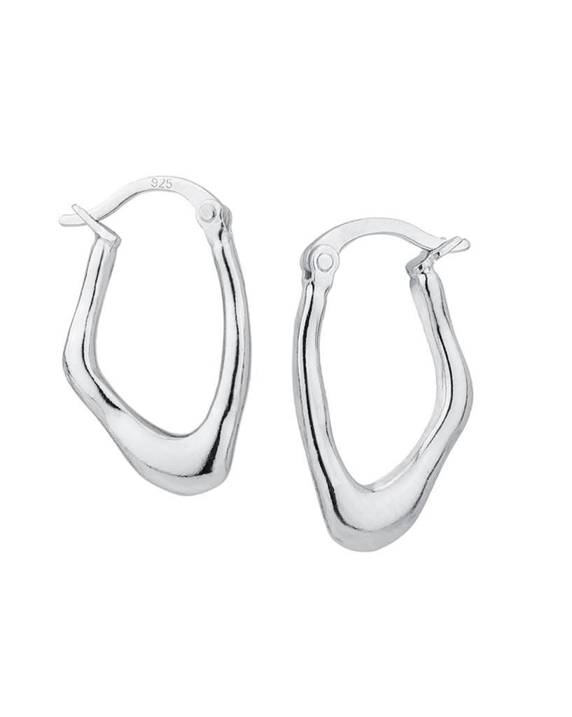 925 Sterling Silver Earrings-Vane795 : VANE795