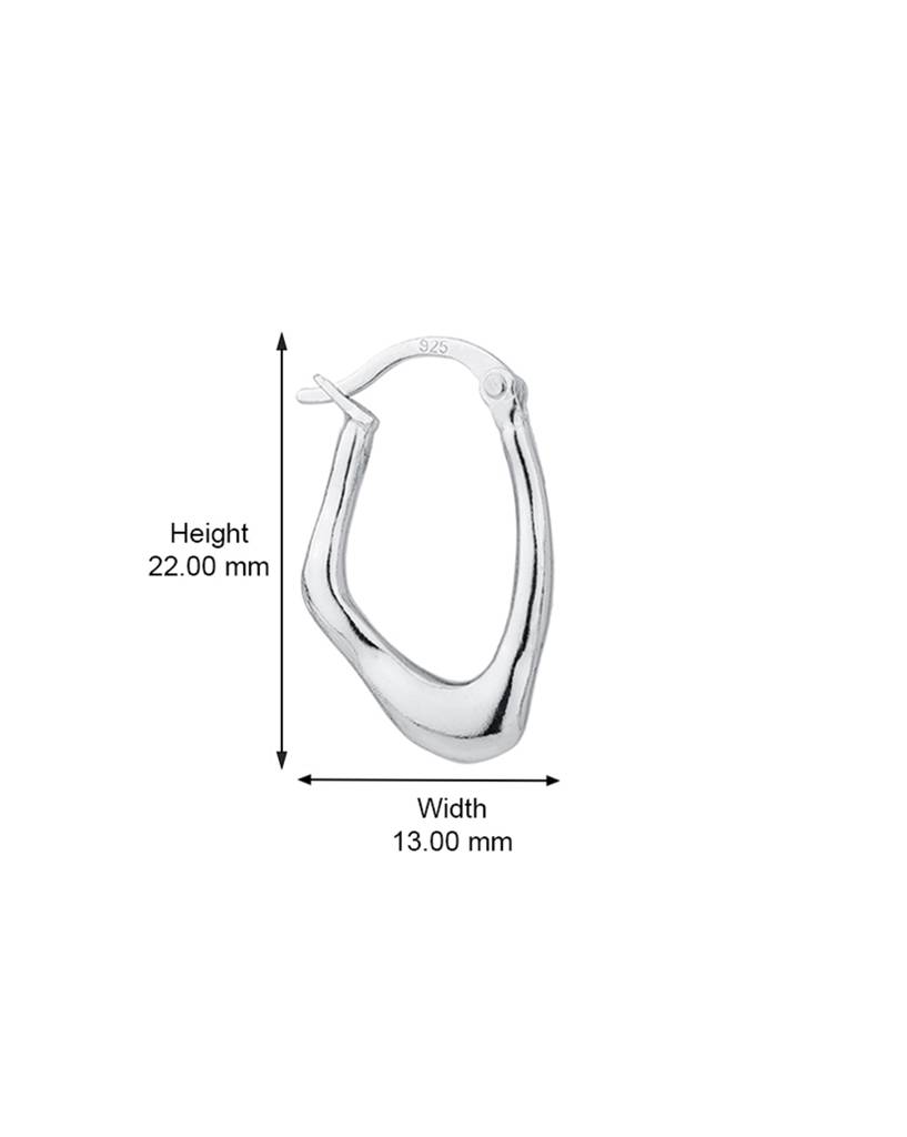 925 Sterling Silver Earrings-Vane795 : VANE795