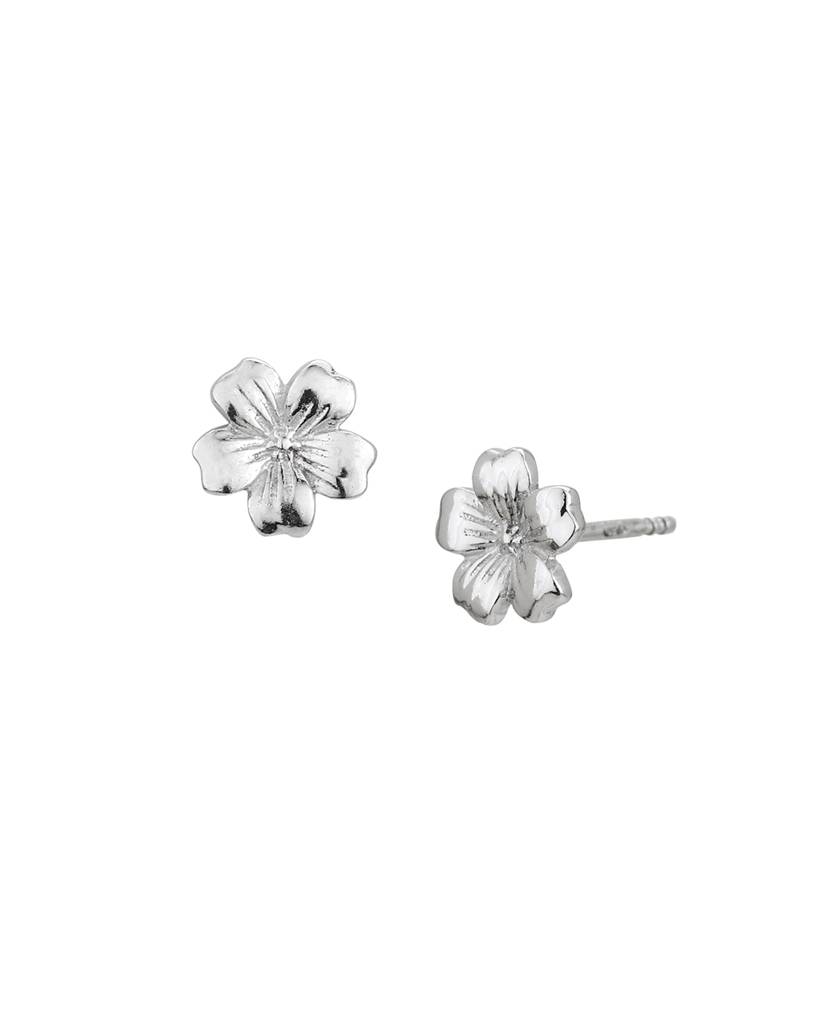 925 Sterling Silver Earrings-Vane796 : VANE796