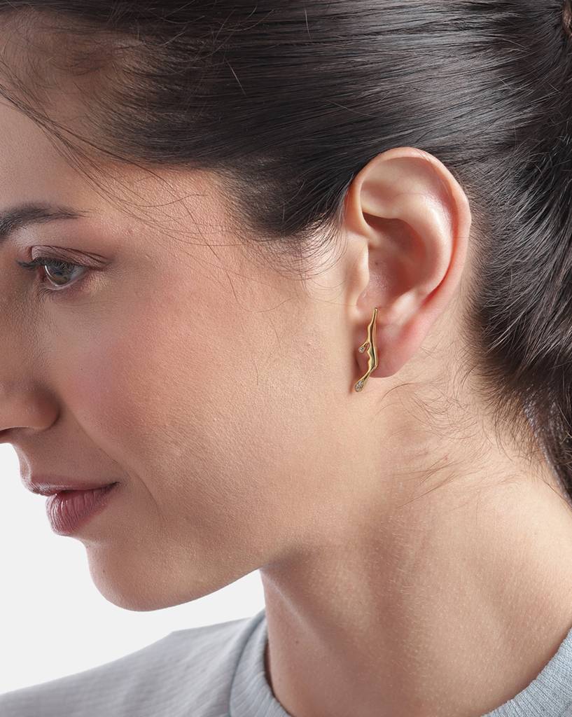 925 Sterling Silver Earrings-Vane801 : VANE801