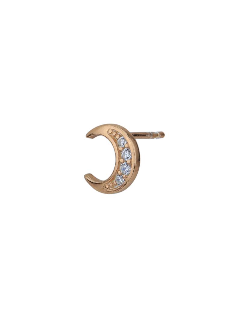 925 Sterling Silver Earrings-Vane858 : VANE858